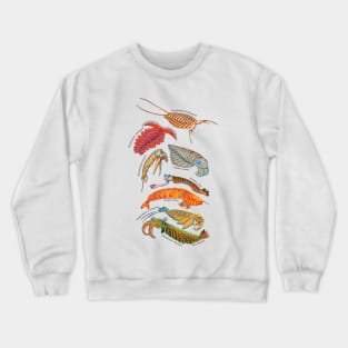 Anomalocaris Crewneck Sweatshirt